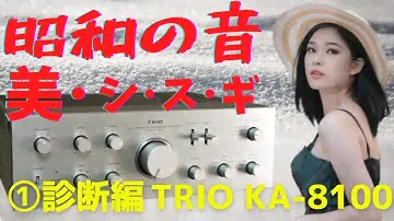 【修理】ヤフオクで購入したジャンクのアンプ（TRIO KA-8100）の動作確認・修理方法をお伝えします。1回目は、「診断編」です。