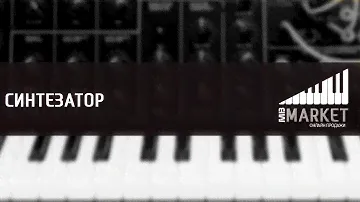Akai Professional Timbre Wolf